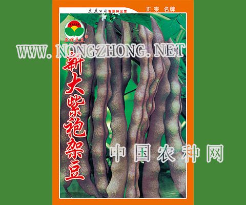 大紫袍架豆